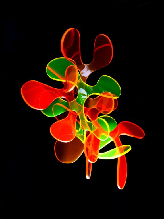 BIOSCAPE (SUPERPOSITION) 