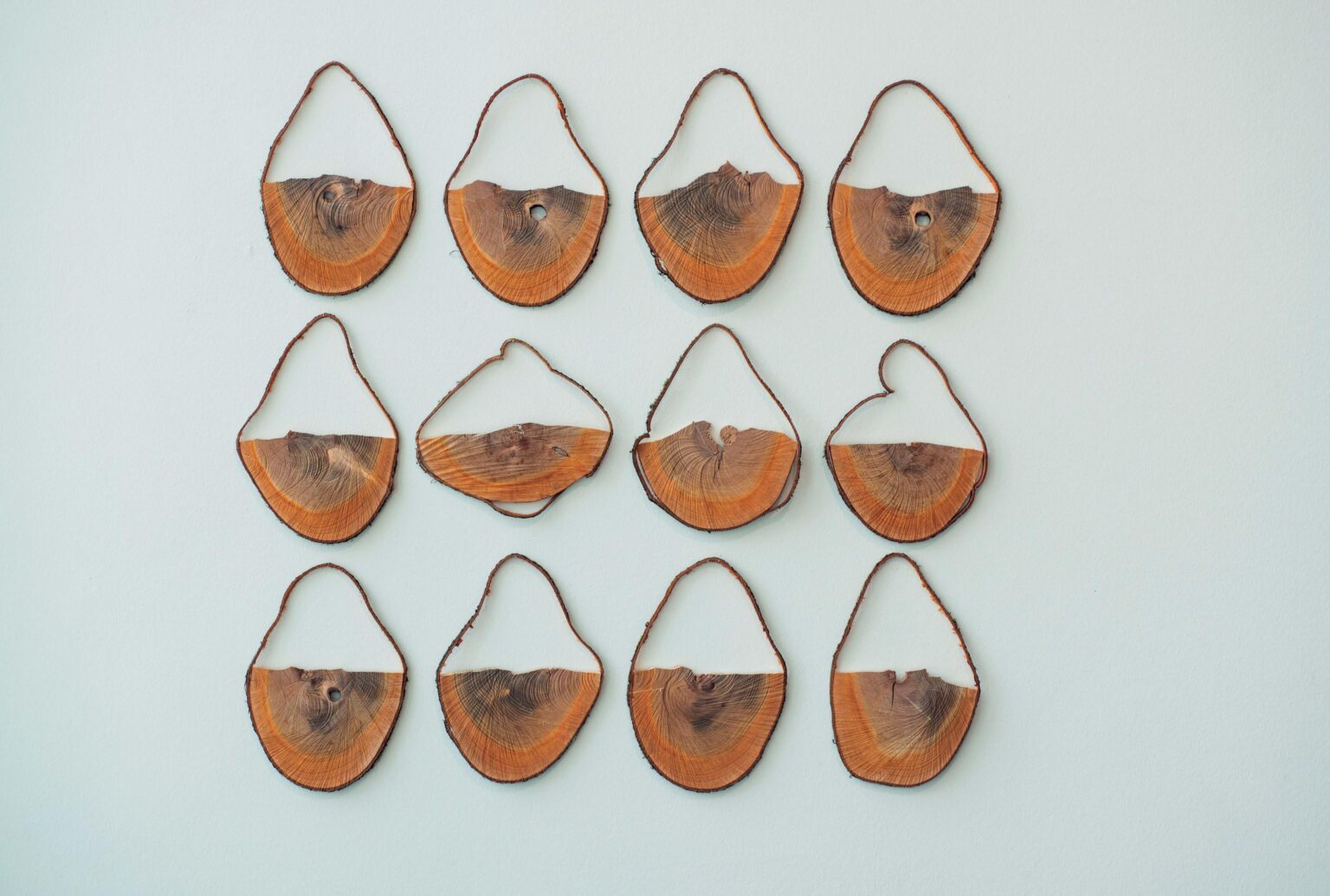 Horizonte, Kirsche, 12-teilig - URS-P. TWELLMANN 