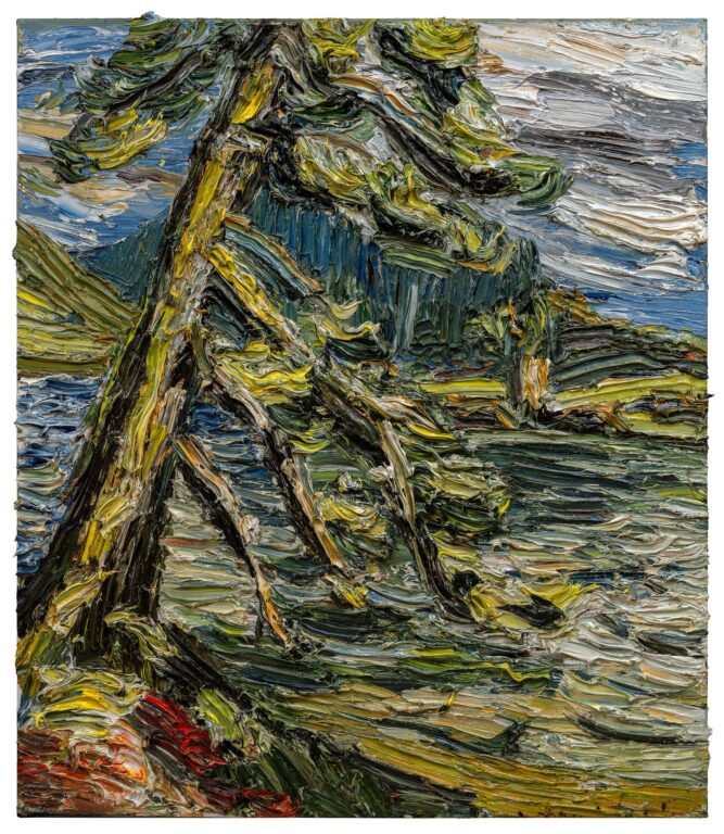 ALTER BAUM, ZUGERSEE - CHRISTOPHER LEHMPFUHL 