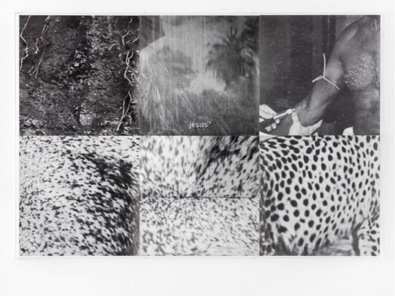 Untitled - Frida Orupabo 