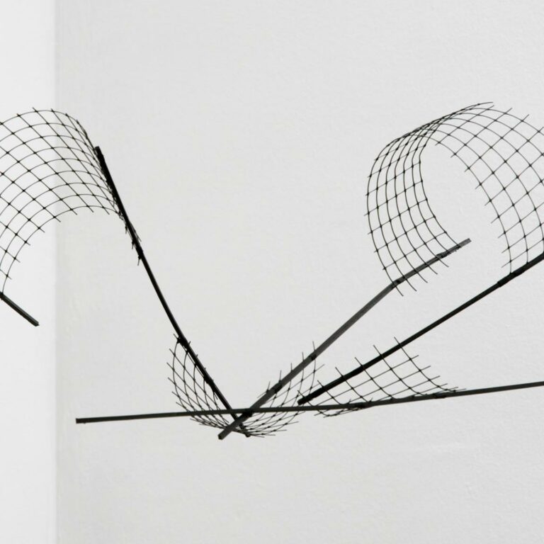 Third Room: ALICE CATTANEO | One or more frames were dropped during playback 