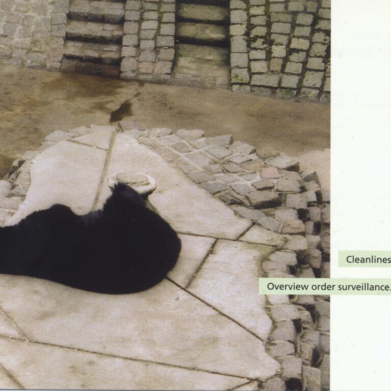 Third Room: INGEBORG STROBL | PHOTO Roman (2) 