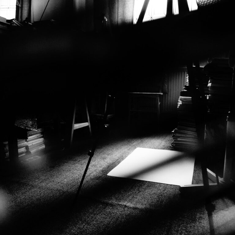 Third Room: MIRCEA STANESCU | Apartament 