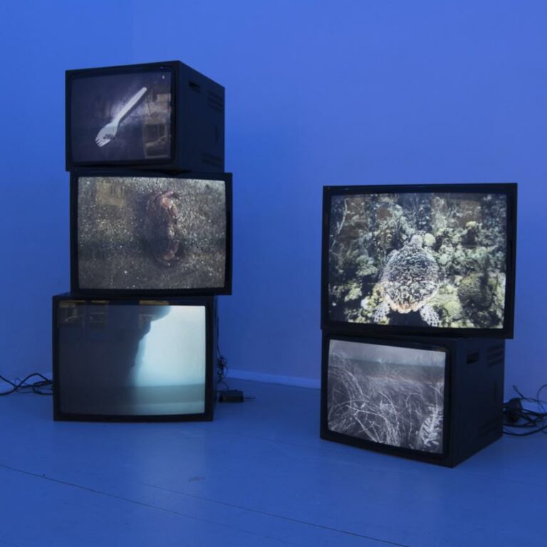 JOEL TAUBER | Underwater 