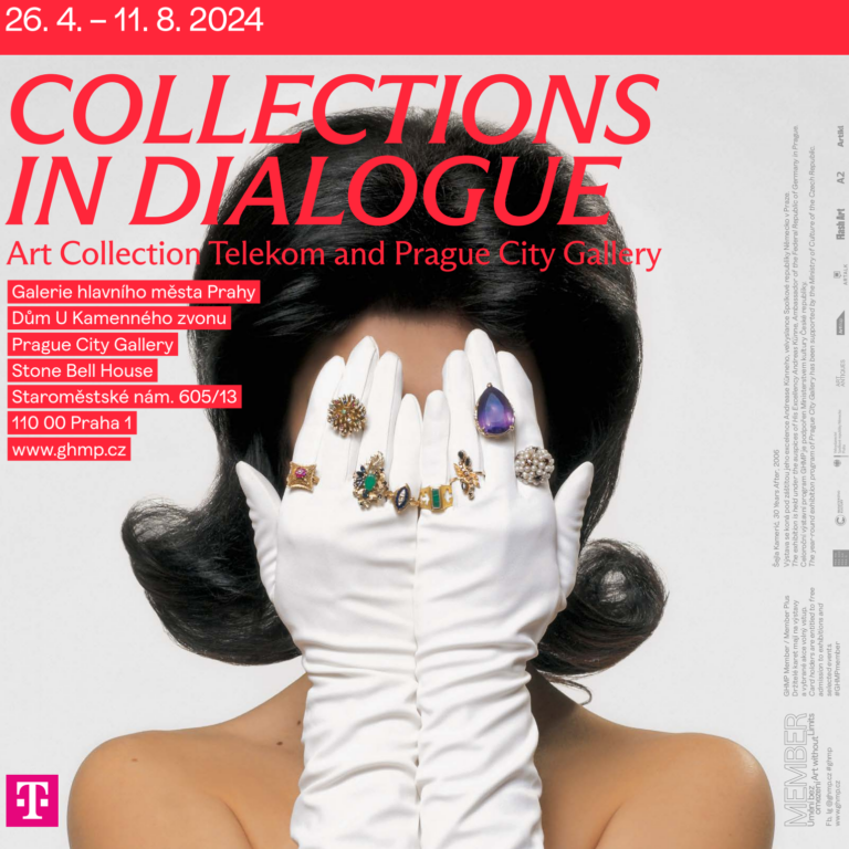 RADENKO MILAK, DAN PERJOVSCHI: GROUP THERAPY. Collections in Dialogue – Art Collection Telekom and Prague City Gallery 