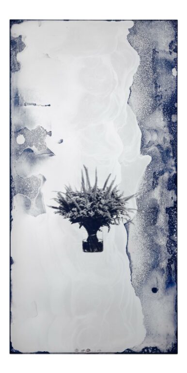 Invasion - Andreas Duscha 