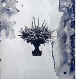 Christine König Galerie @ artgenève 2023 - Adéla Janská, Andreas Duscha, Honza Zamojski, Ira Svobodová, Jimmie Durham, Juergen Teller, Kristof Santy, Natalia Załuska, PAYER GABRIEL, Radenko Milak, Thilo Jenssen, Thomas Hartmann, Thomas Reinhold 