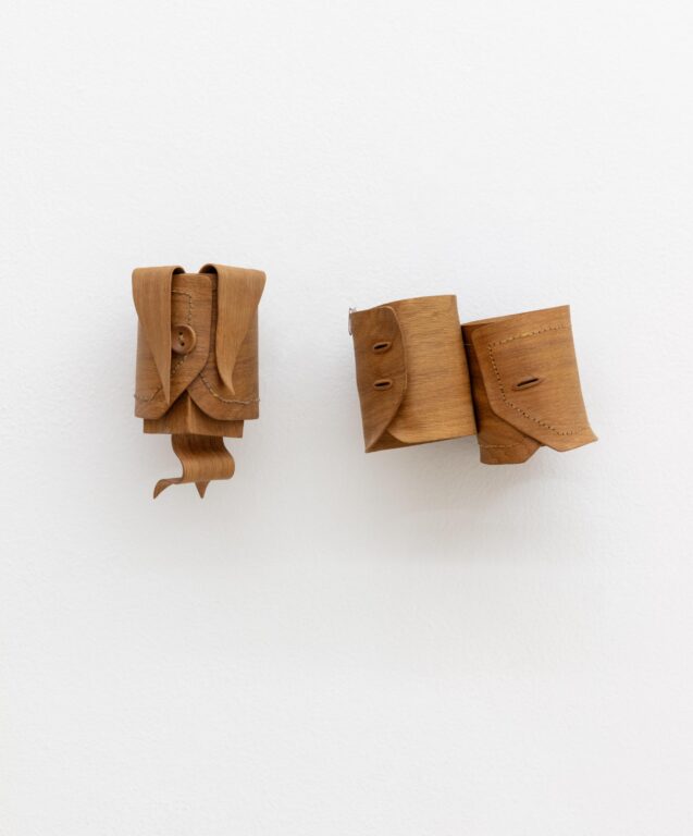 from the series “the Tricksters Underbelly” - Tobias Izsó 