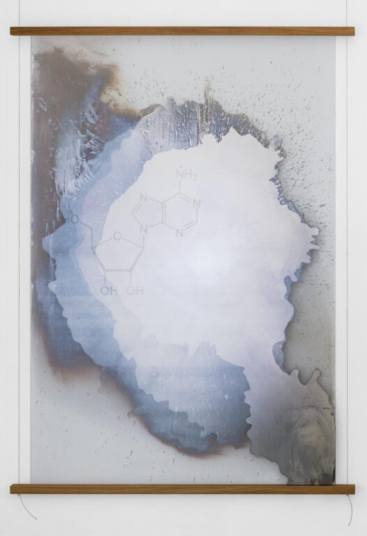 ZIRKADIANE (Serotonin) - Andreas Duscha 