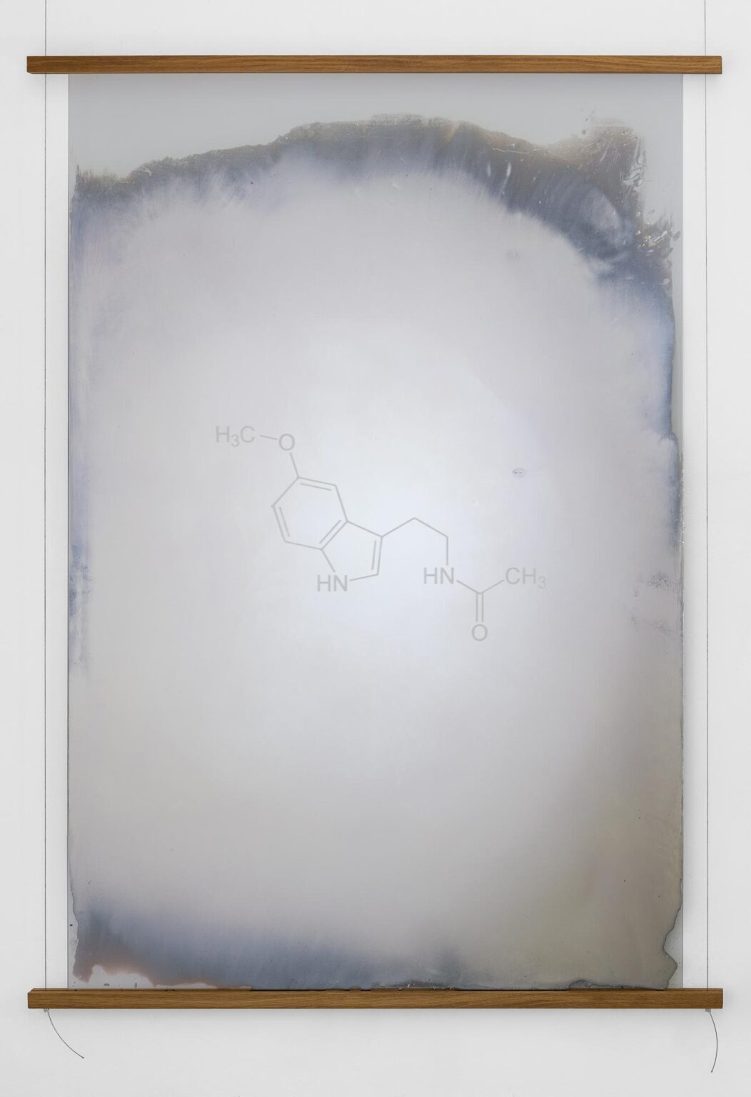 ZIRKADIANE (Tryptophan) - Andreas Duscha 