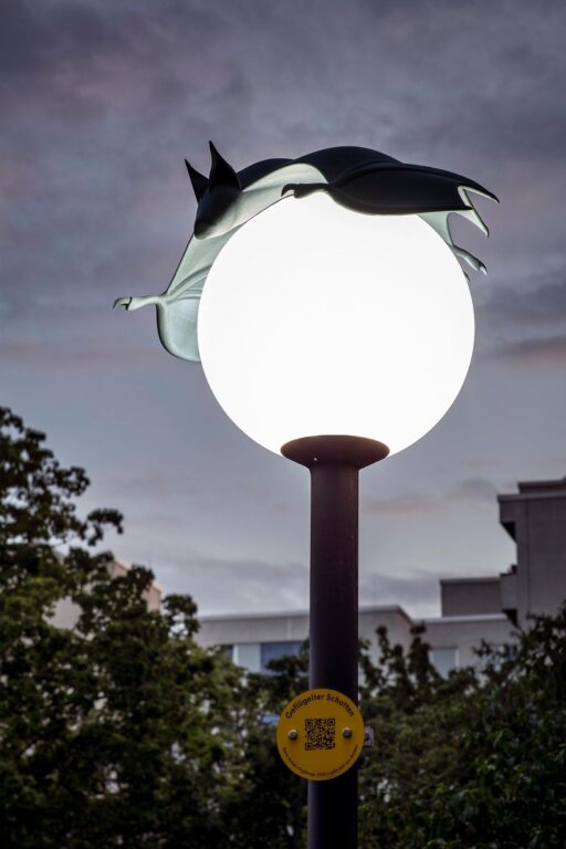 Nightcaps (bat) - Alona Rodeh 