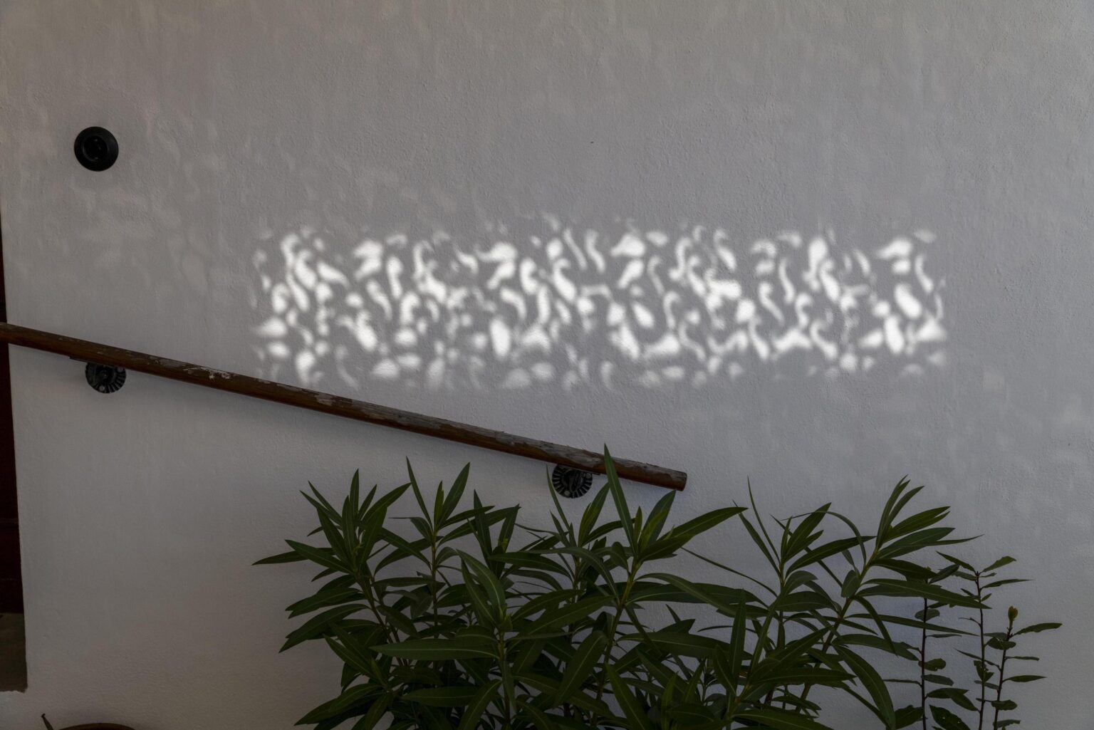 o.T. (Stillleben), Jennersdorf - Elfie Semotan 