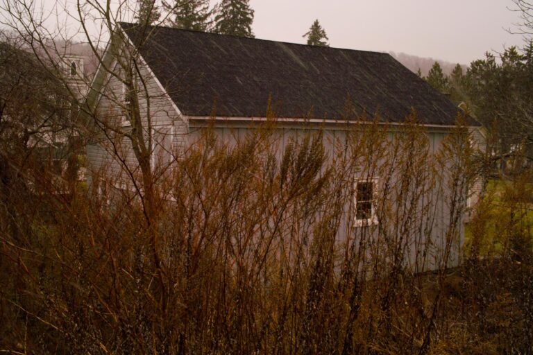 o.T. (Stillleben), Andes, New York - Elfie Semotan o.T. (Stillleben), Andes, New York - Elfie Semotan