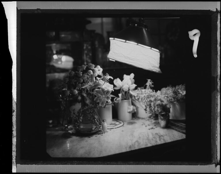 Atelier Bruno Gironcoli (Stillleben), Wien - Elfie Semotan 