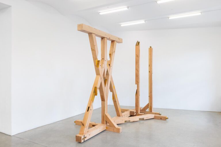 Wilder Mann - Olaf Holzapfel 