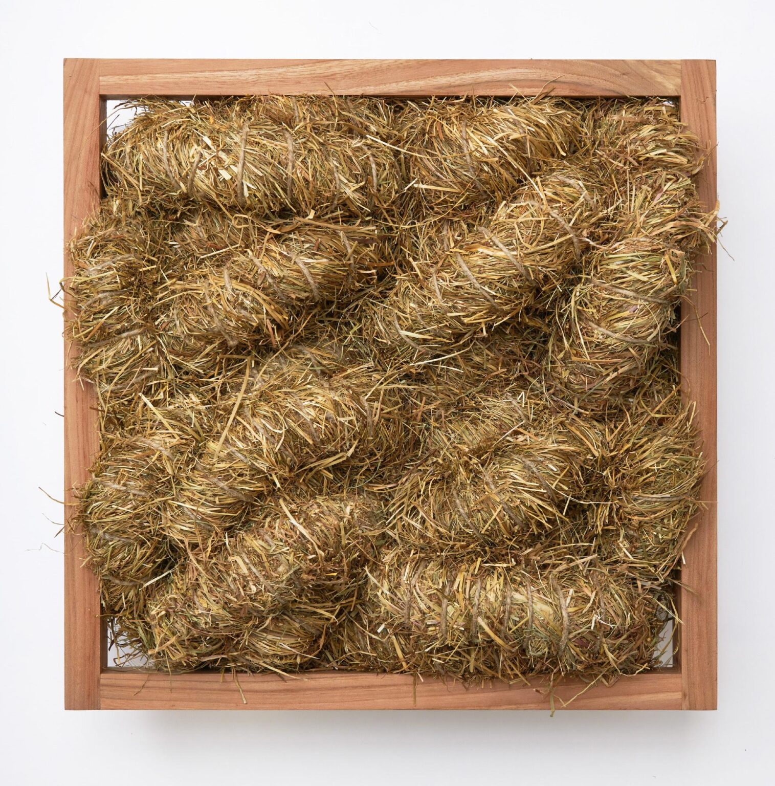 Kleines Knotenbild - Olaf Holzapfel 