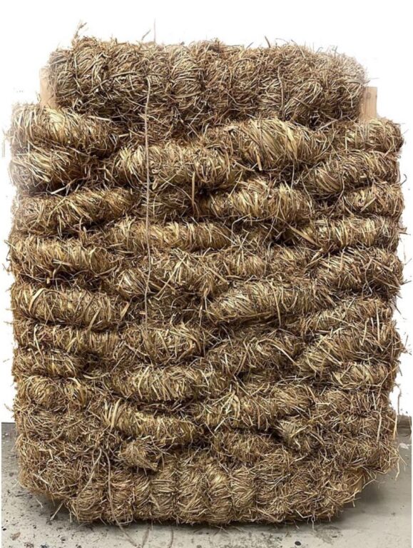 lichtbild - Olaf Holzapfel 