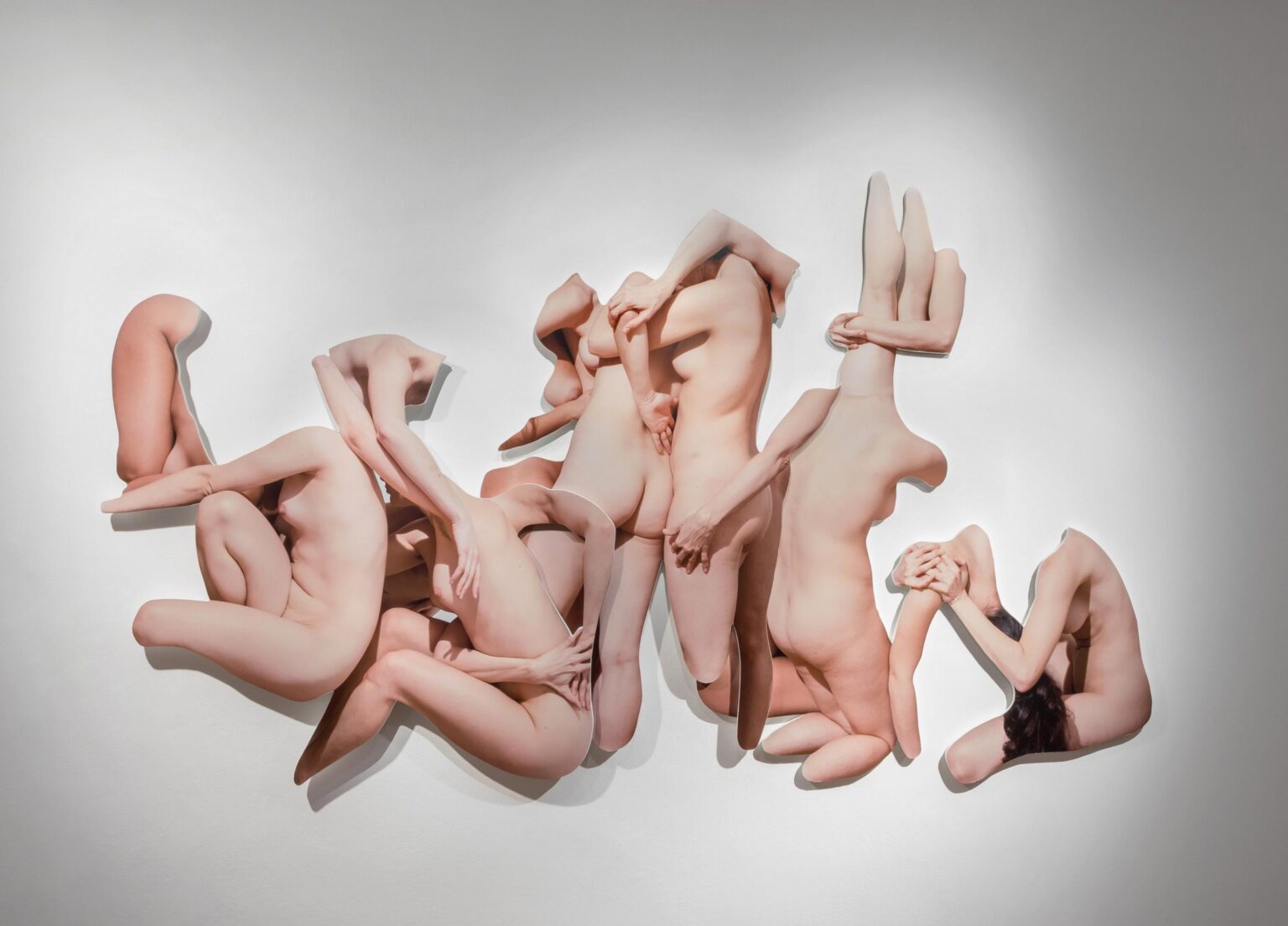 Fertility no. 1, - Dorottya V&eacute;kony 