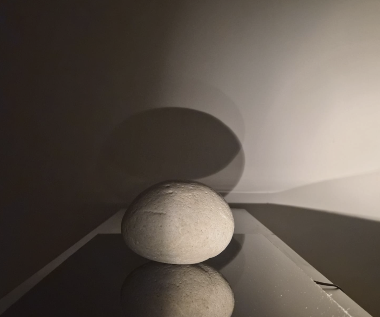 RADENKO MILAK, ERWIN KNEIHSL: Radiant Opacity 