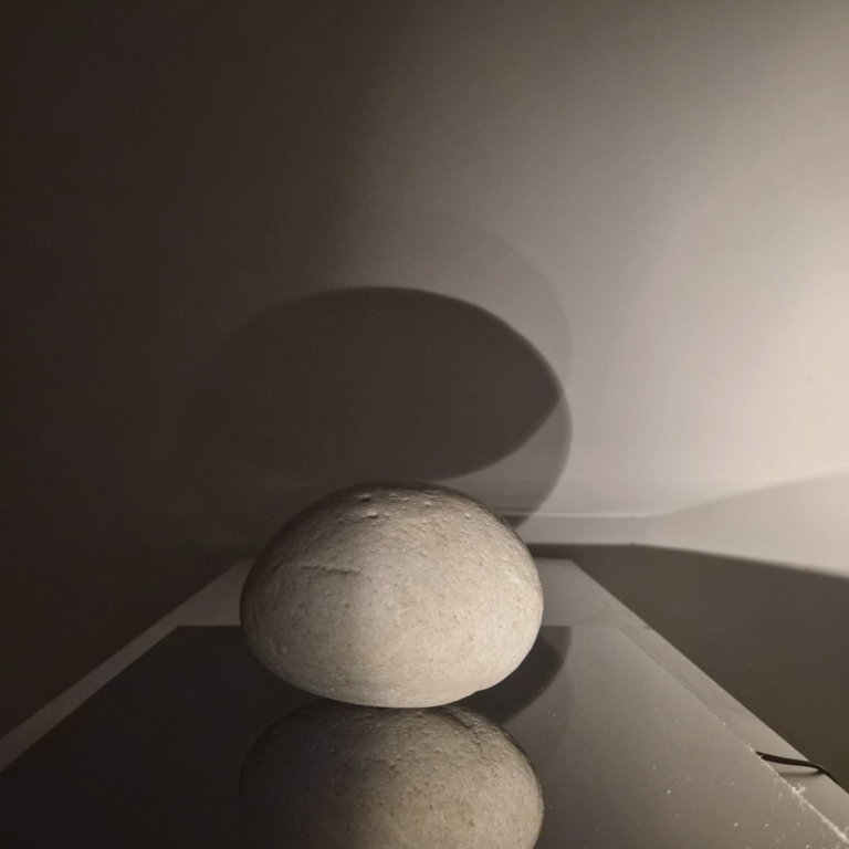 RADENKO MILAK, ERWIN KNEIHSL: Radiant Opacity 