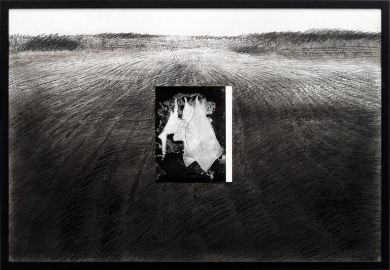 Partially covered Landscape (Constantin Brancusi) - Nikita Kadan 
