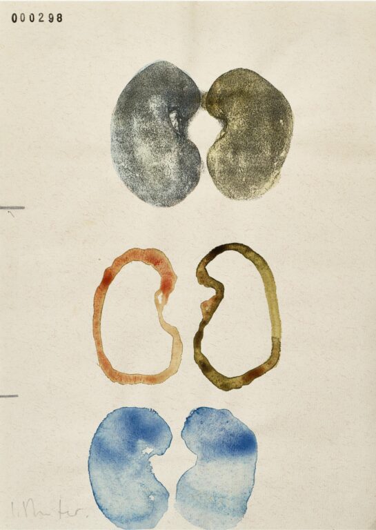 Ohne Titel - Sabine Reuter 