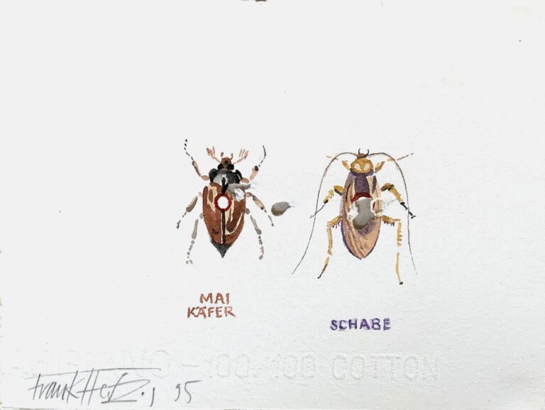Maikäfer/Schabe - Frank Herzog 