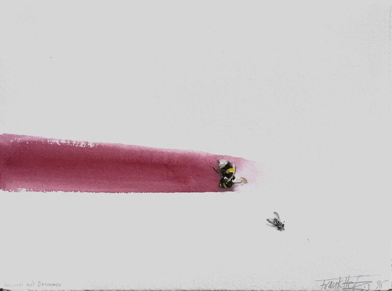 Hummel mit Brummer - Frank Herzog 