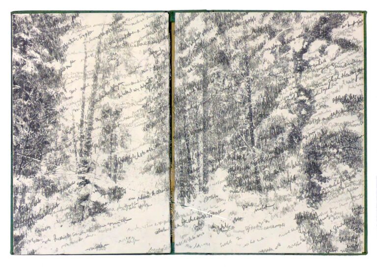 Winterlandschaft (querende Gedanken) - Ralf Witthaus 