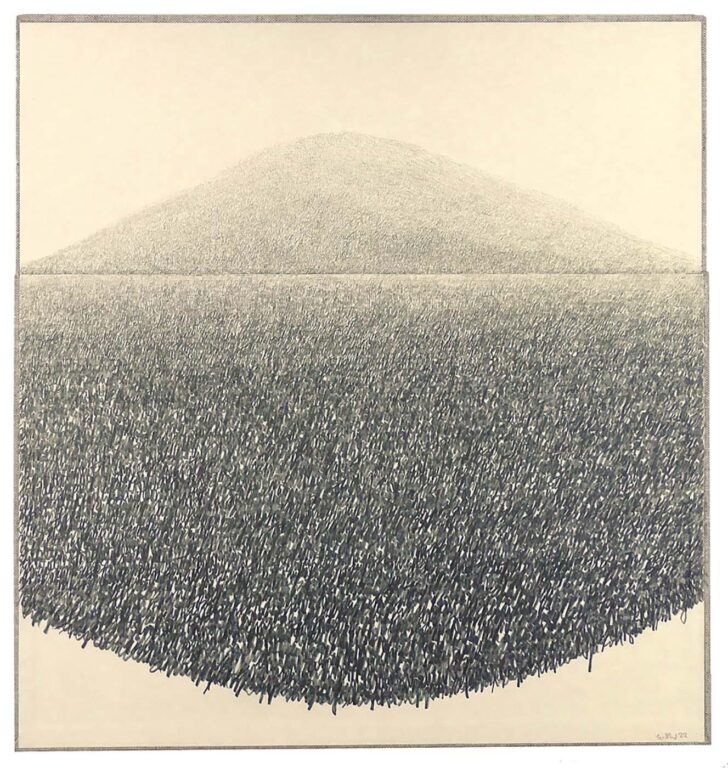 Der japanische Berg - Ralf Witthaus 