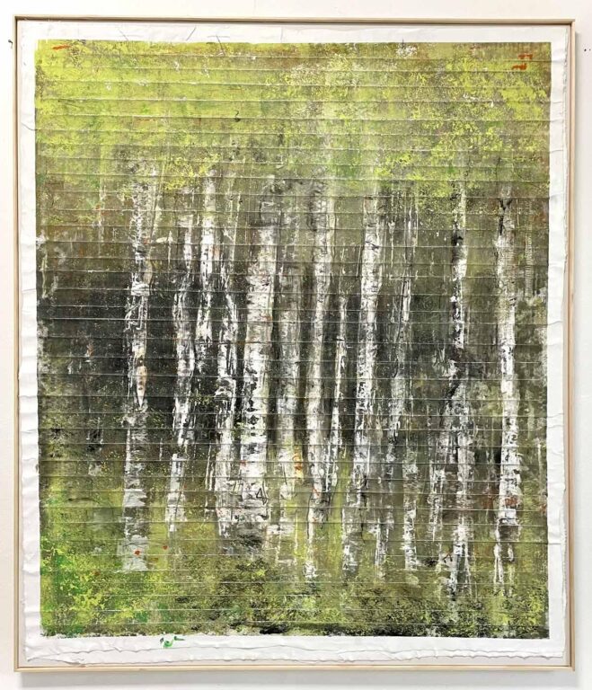 Birken - Liv Jung-König 