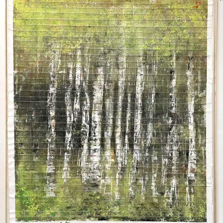 Birken - Liv Jung-König 