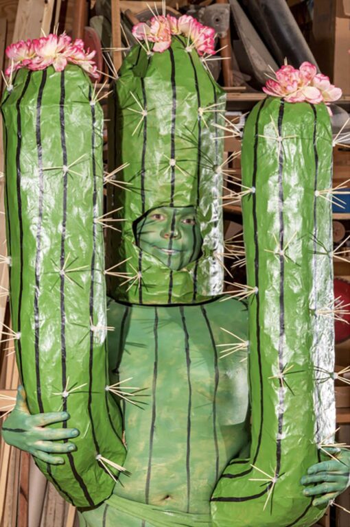 I want to be a cactus, ok with my natural form - Claudia Holzinger Claudia Holzinger