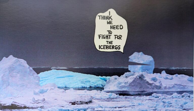 The Rights of the Icebergs, Videoloop 30 min. - Roswitha Maul 