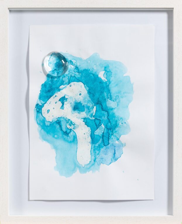 Catching Ice Crystals #2 - Roswitha Maul 