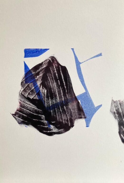 Vignette I - Shannon Brinkley 