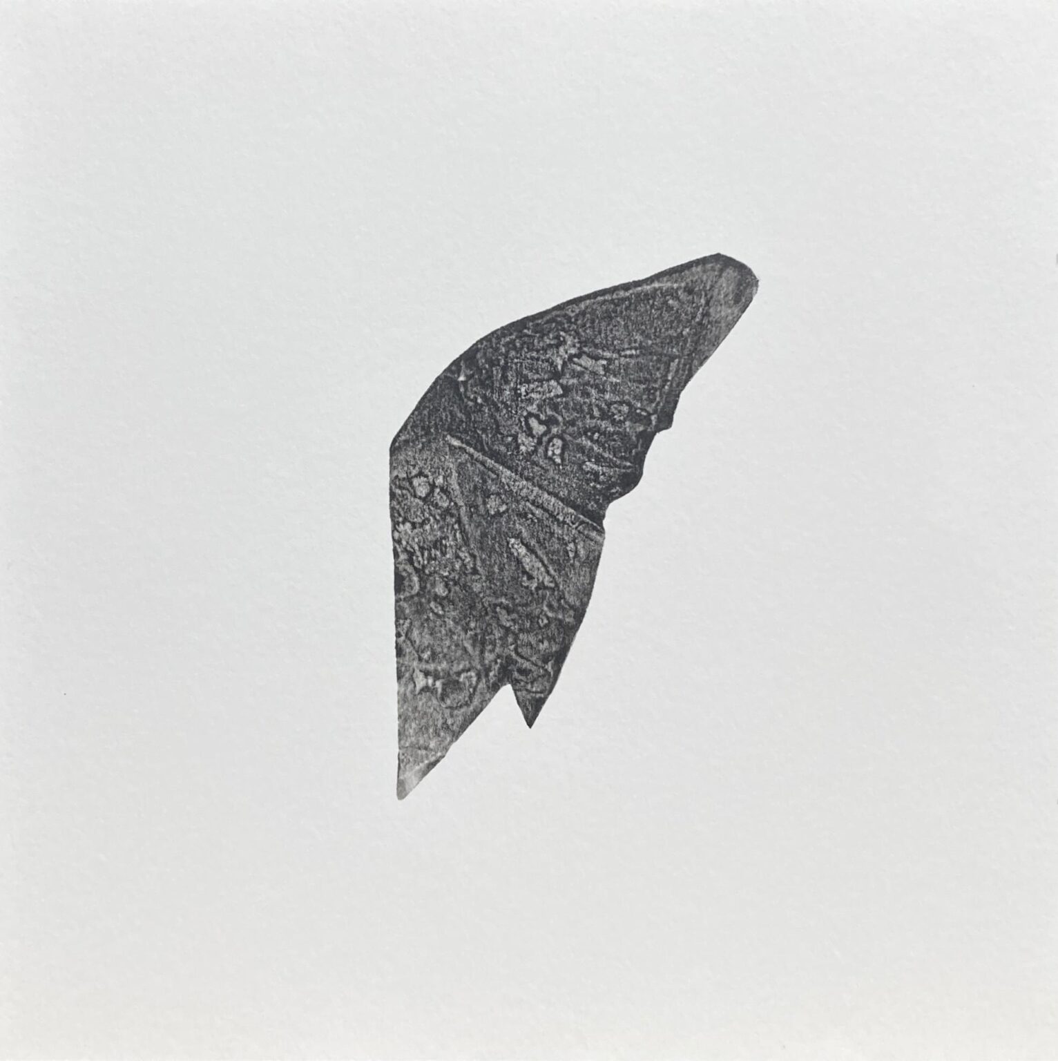 Note - Shannon Brinkley 