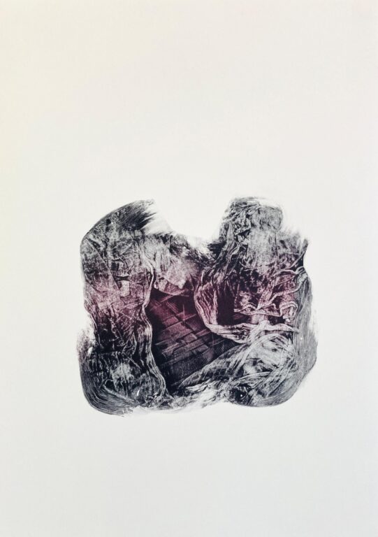 Infrathin I - Shannon Brinkley 