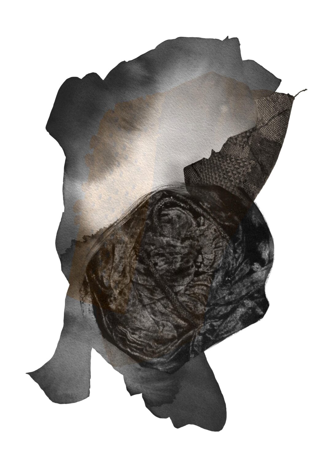 The Shape of Things - Shannon Brinkley 