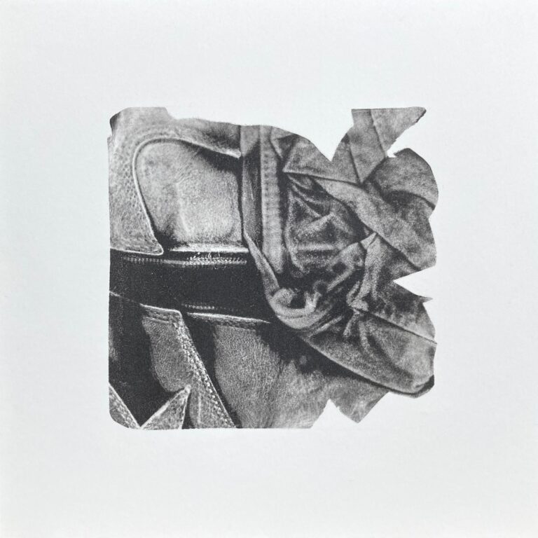 Missing - Shannon Brinkley 