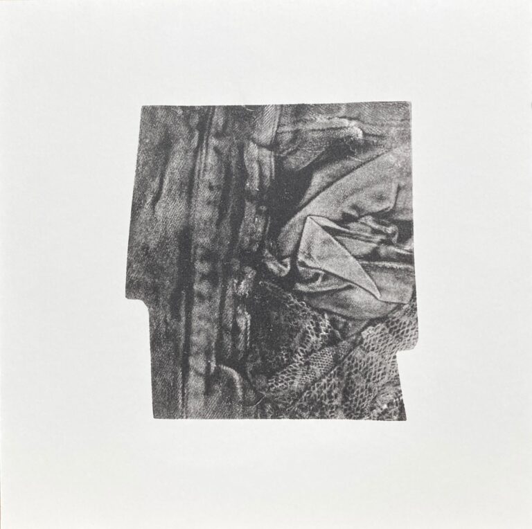 Smattering - Shannon Brinkley 