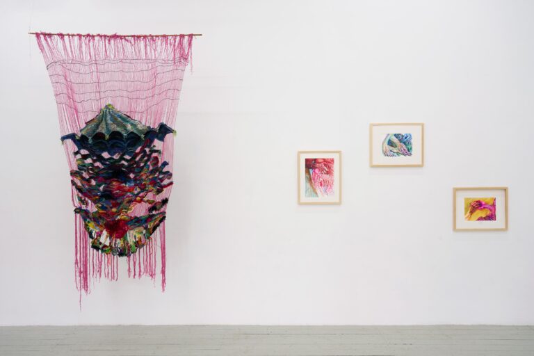 Nymphaea Occulta - Natalia Shumskaya 