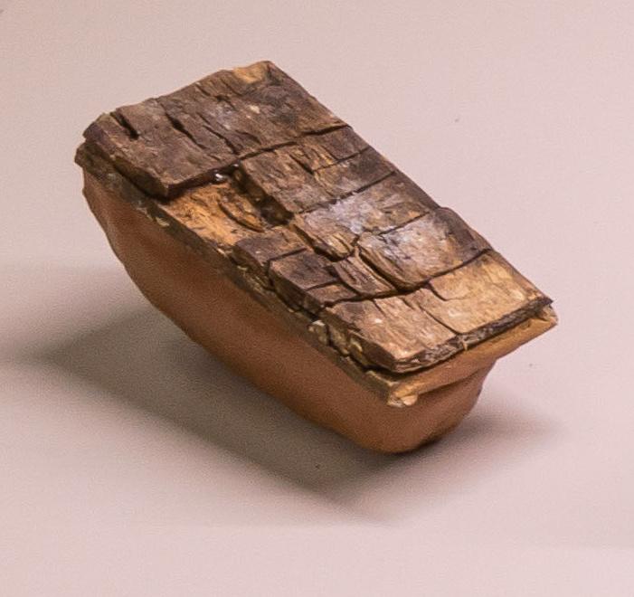 Snail-Trail 6 - Gabriela Kobus 