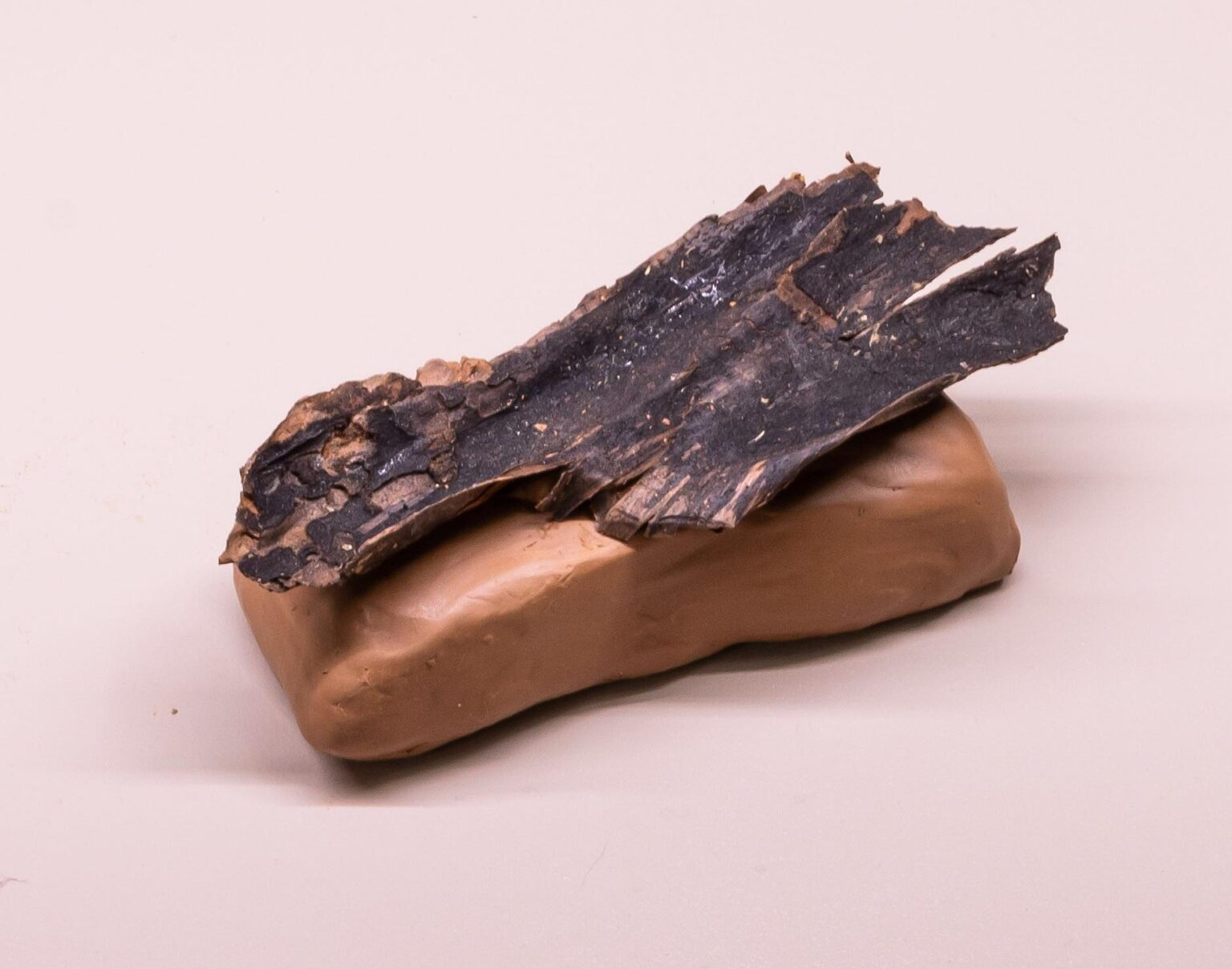 Snail-Trail 5 - Gabriela Kobus 