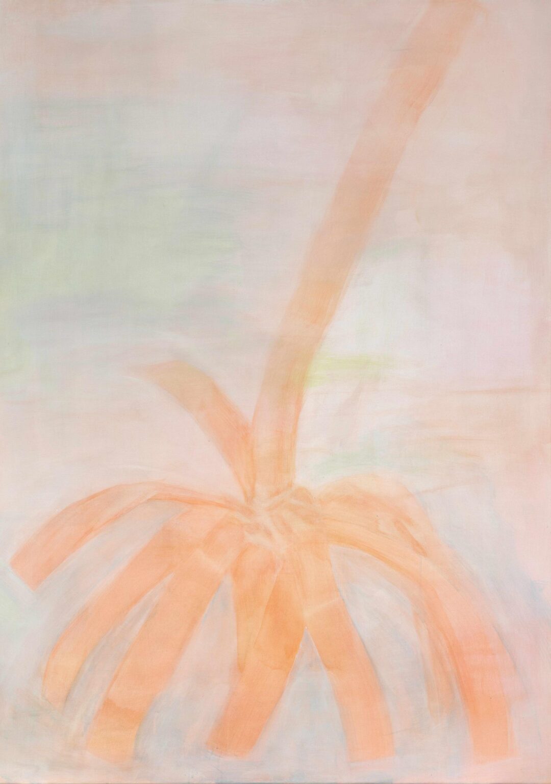 Plant - Gabriela Kobus 