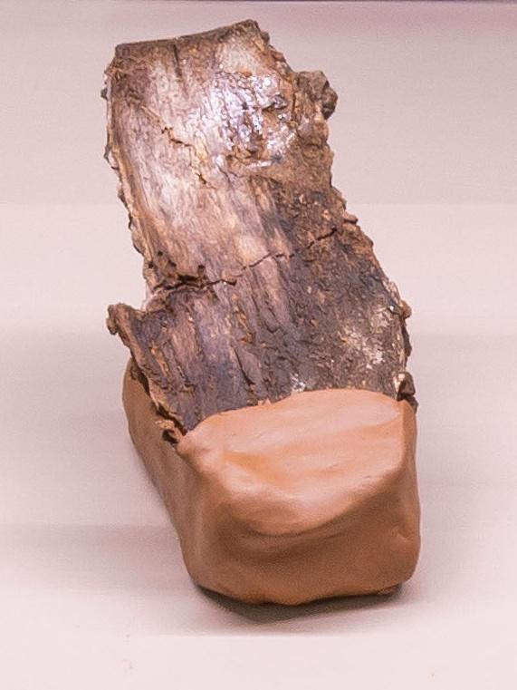 Snail-Trail 3 - Gabriela Kobus 