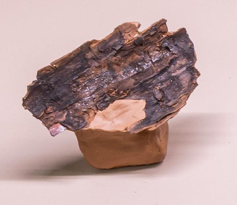 Snail-Trail 2 - Gabriela Kobus 