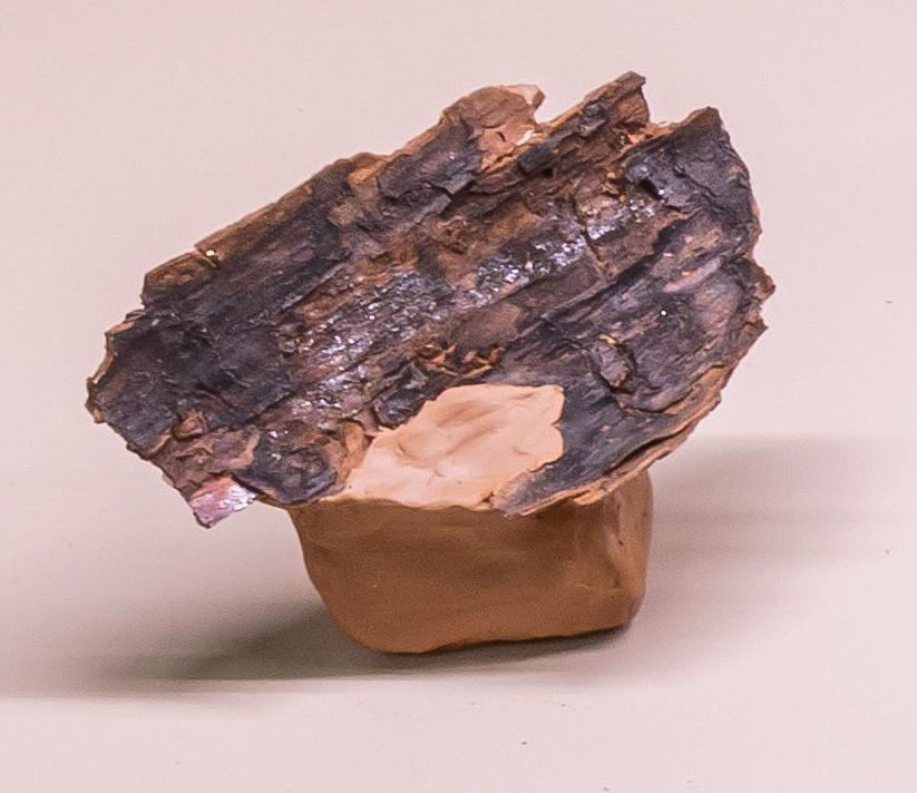 Snail-Trail 2 - Gabriela Kobus 