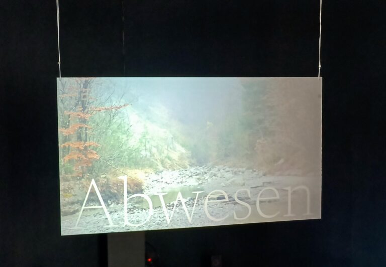 Abwesen. dead species walking, Videoinstallation - Clara S. Rueprich 