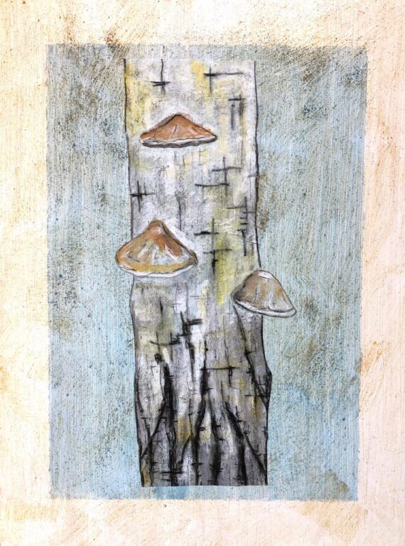 Birkenporling (der wald hat ohren) - Reinhard Krehl 